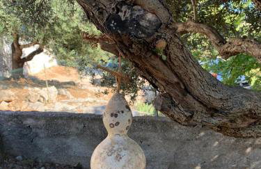 HOUSE Kod dide - Foto 79