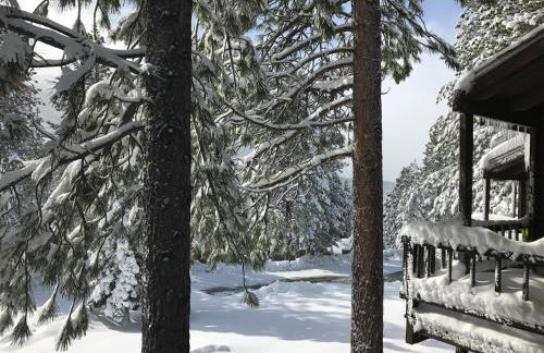 Indian Hills Gem Awaits - Foto 16