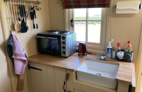 The Rowan Shepherds Hut - Photo 11