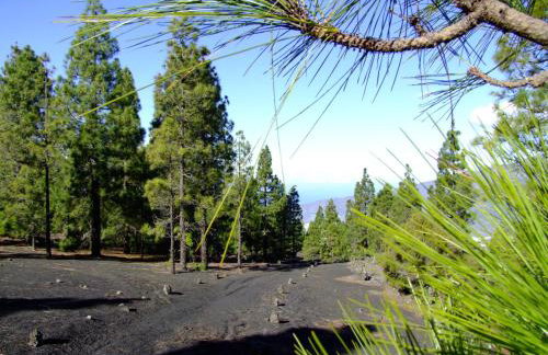 Villas Las Cercas - Photo 75