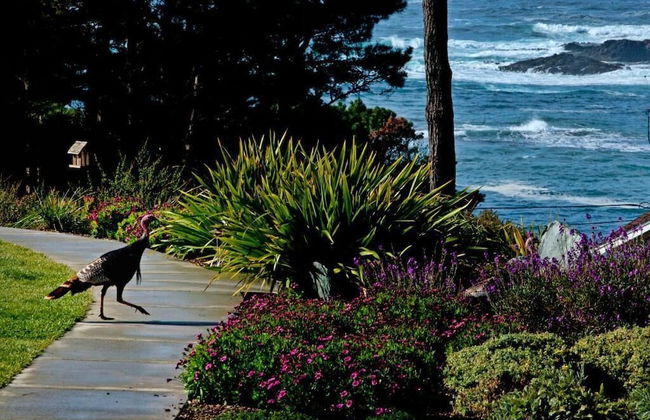 Cottages at Little River Cove - Foto 55