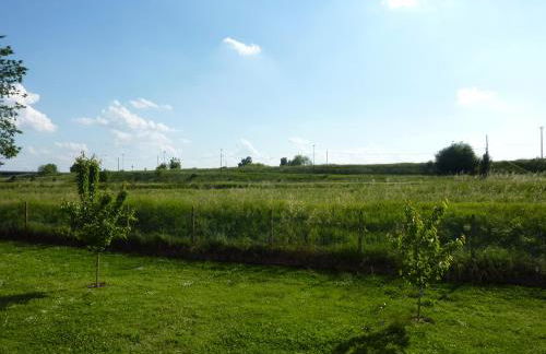 Azienda Agricola Marin - Foto 23