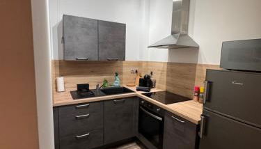 Brooklyn Loft - centre parking privé - Photo 3, stove, pet friendly