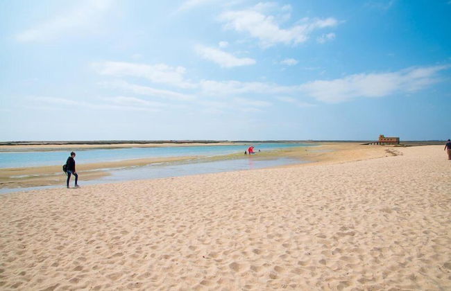 2bedroom House Cozy Typical Restored Single Storey 5 min From the Fuseta Beach - Photo 19