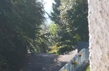 Panoramic Eagle - Photo 7