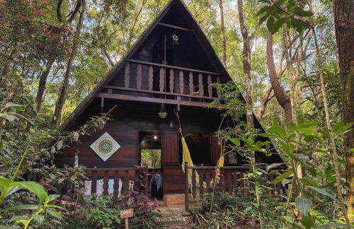 Chalé na Floresta - Refúgio Natural - Photo 1