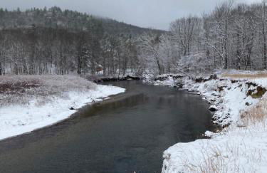 Baker Rocks - Photo 35