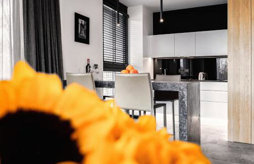 PLATiNIUM RESIDENCE&SPA BASEN-SAUNA "BEST VIEW" CENTER - Foto 10