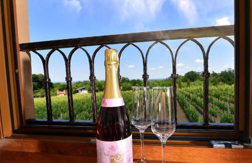 STRUČIĆ WINERY ESTATE - Foto 19