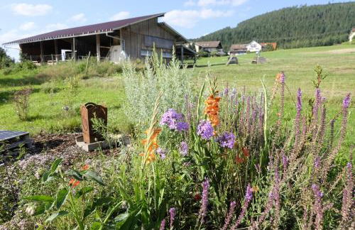 SchwarzWild - Ferienwohnung und Ferienzimmer - Foto 20