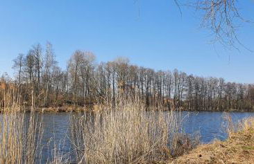 Haus mit 8 Schlafzimmer, 30 Minuten Berlin Centrum - Foto 38