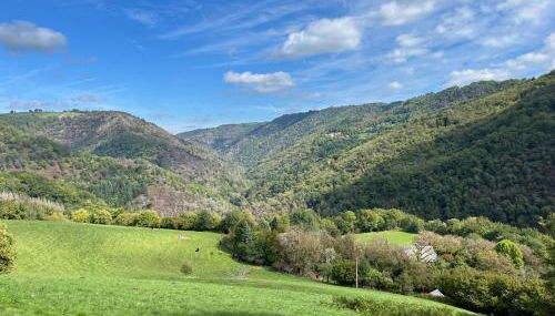 L'Etable, 4- 6p huisje met houtkachel en gezamenlijk zwembad - Foto 5