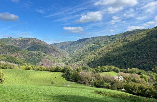 L'Etable, 4- 6p huisje met houtkachel en gezamenlijk zwembad - Foto 5