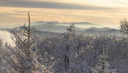 On Top Of Everything at Beech - Foto 5