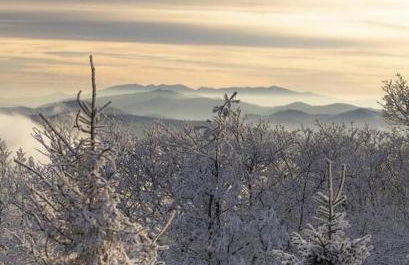 On Top Of Everything at Beech - Foto 5