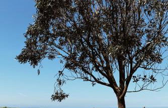 Estudio 33 - Foto 44