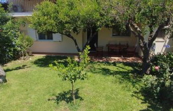 Little Citrus Yard - Foto 38