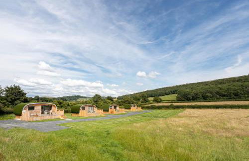 Low Longlands - Foto 47