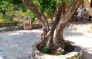 Ioannis Stagkonis House 2 - Photo 5