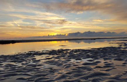 Hillside Studio - Photo 43