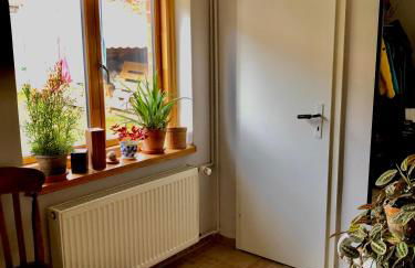 Gemütliches Studio-Apartment in Ostseenähe - Cosy Wulfi - Photo 13