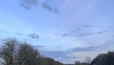 Amazingly quiet and peaceful studio getaway. - Foto 5