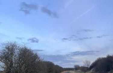 Amazingly quiet and peaceful studio getaway. - Foto 5