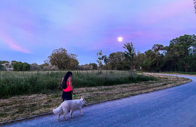 Casablanca Hotel Studios - Foto 51