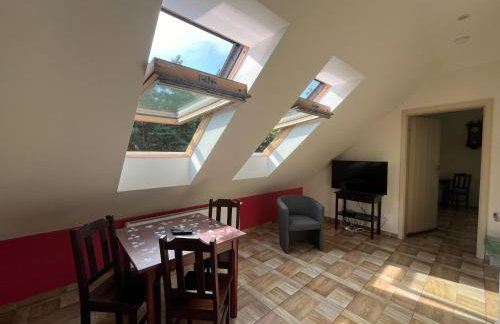 Koci Grzbiet Agroturystyka - Foto 44