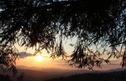 Ferienhof Kagerbauer - Foto 10