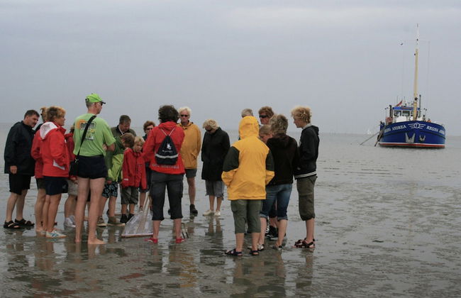 Authentic Farmhouse in Pingjum With Hot Tub - Foto 43