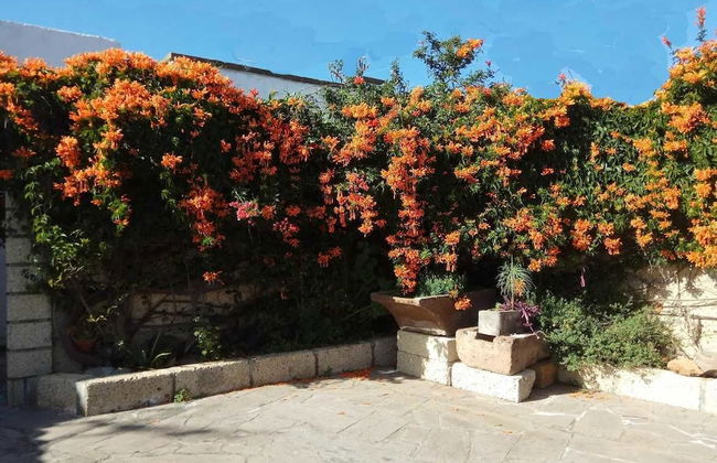 Casas Rurales Los Gavilanes - Foto 38