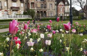 Le Cottage de la Plage - 2ch, 2 SDB - Terrasse - Déco de charme - 500m plage - Photo 12