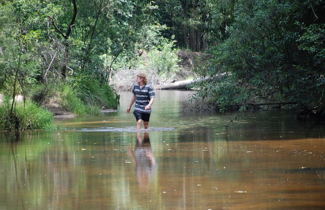 Wildside Sanctuary - Foto 51