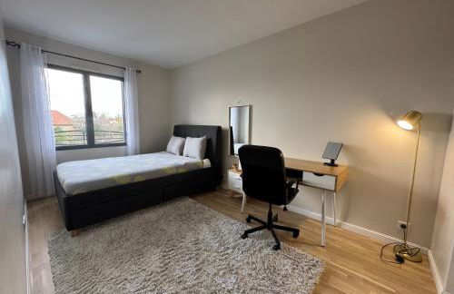 Big Flat - Direct CERN - Foto 7