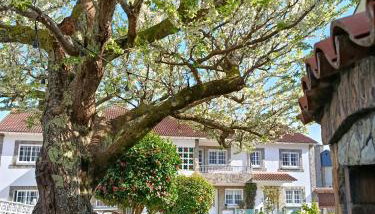 Vila Pombal - Foto 3