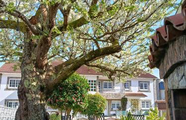 Vila Pombal - Photo 3