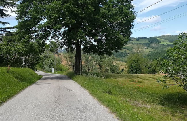 La Cartiera dei Benandanti - Foto 62