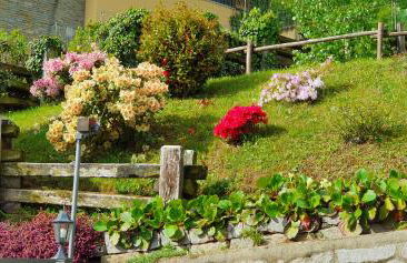 La Betulla - Foto 20