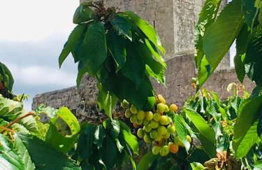 Casa das 5 Cruzes dentro da muralha - Foto 71