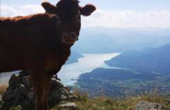 Appartement chalet montagne cosy 8 places - Photo 24