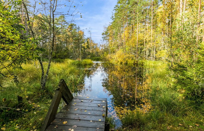 Kurjenrahka - Foto 11