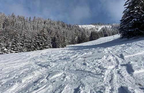 Appartement cosy au pied des pistes - Foto 27