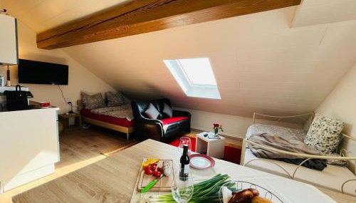 Appartments - Stromberg & Zabergäu - Foto 2