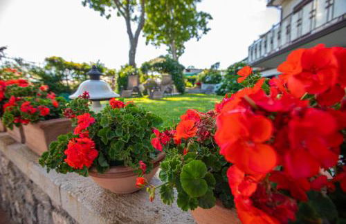 Nido Degli Dei - Foto 16