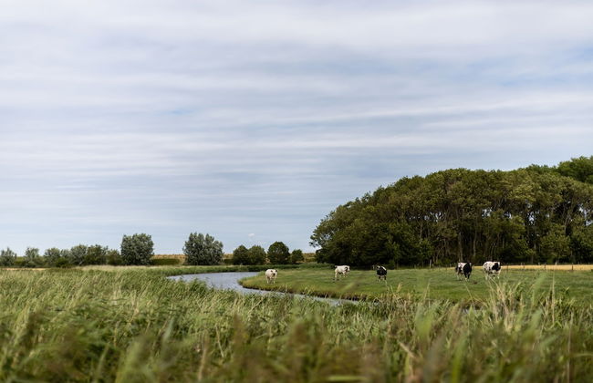 Hoeve Hazegras - Foto 62