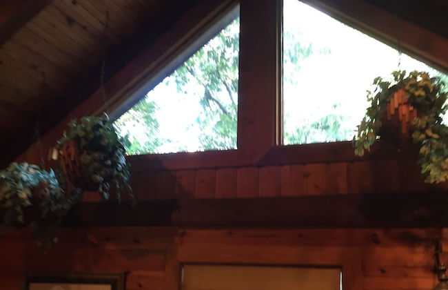 Cherokee mountain log cabin resort - Foto 7