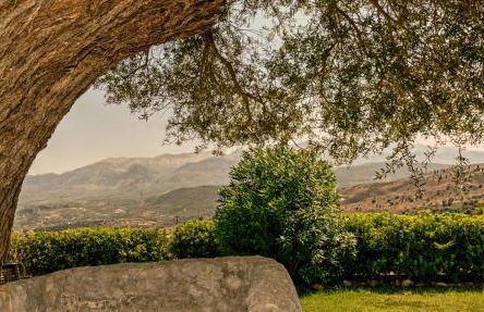 Elia House - Foto 10