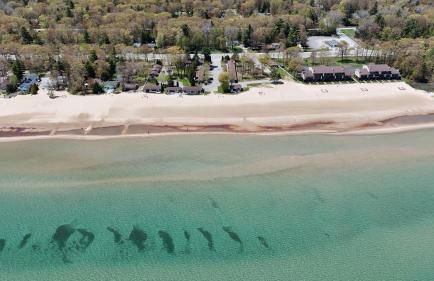 Surfside 13 - Cute Lakefront Condo! - Foto 1