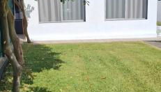 Pineapple Studio - Photo 3